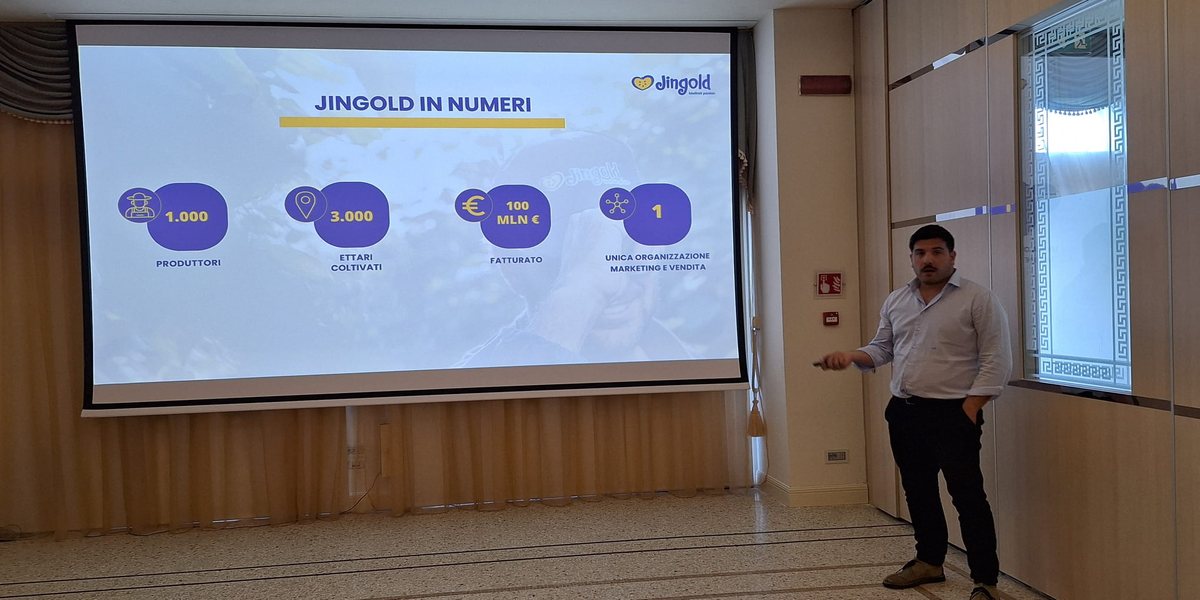 Andrea Zambelli, Digital Marketing & E-commerce Jingold